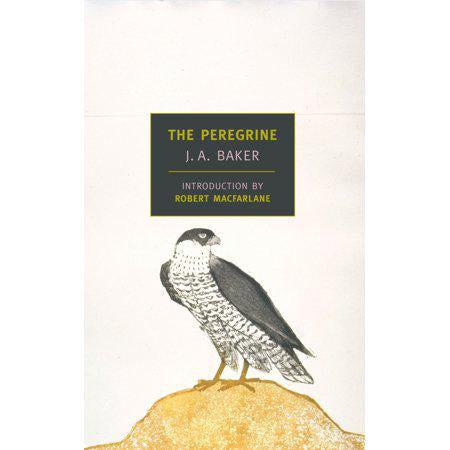 The Peregrine (New York Review Books Classics) by J. A. Baker, photo 2 of 2