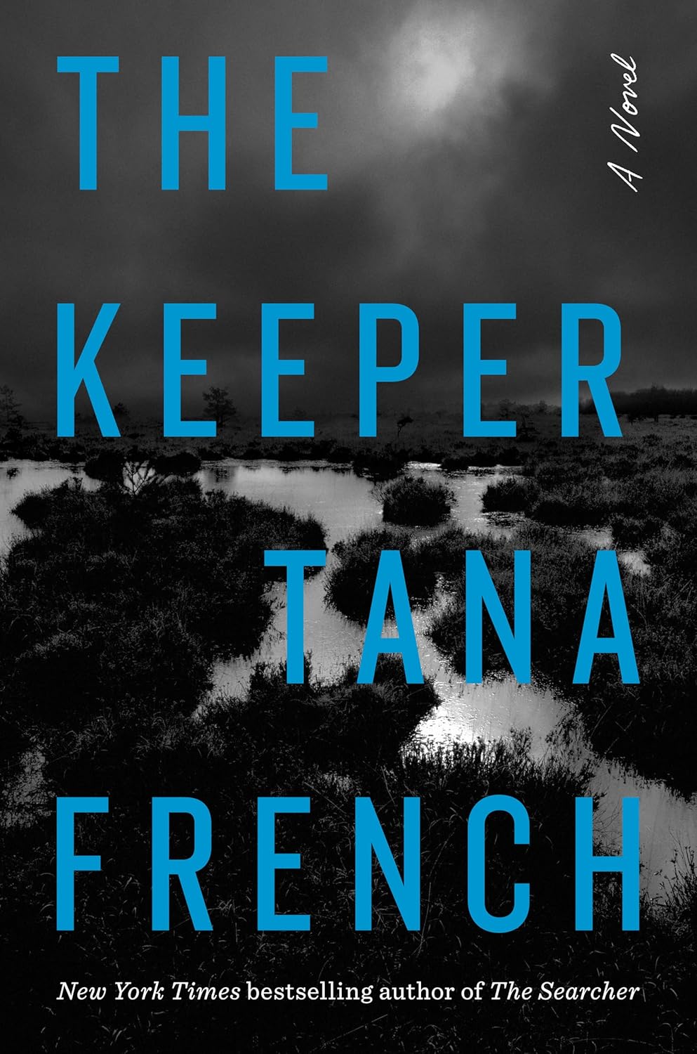 The Keeper by Tana French