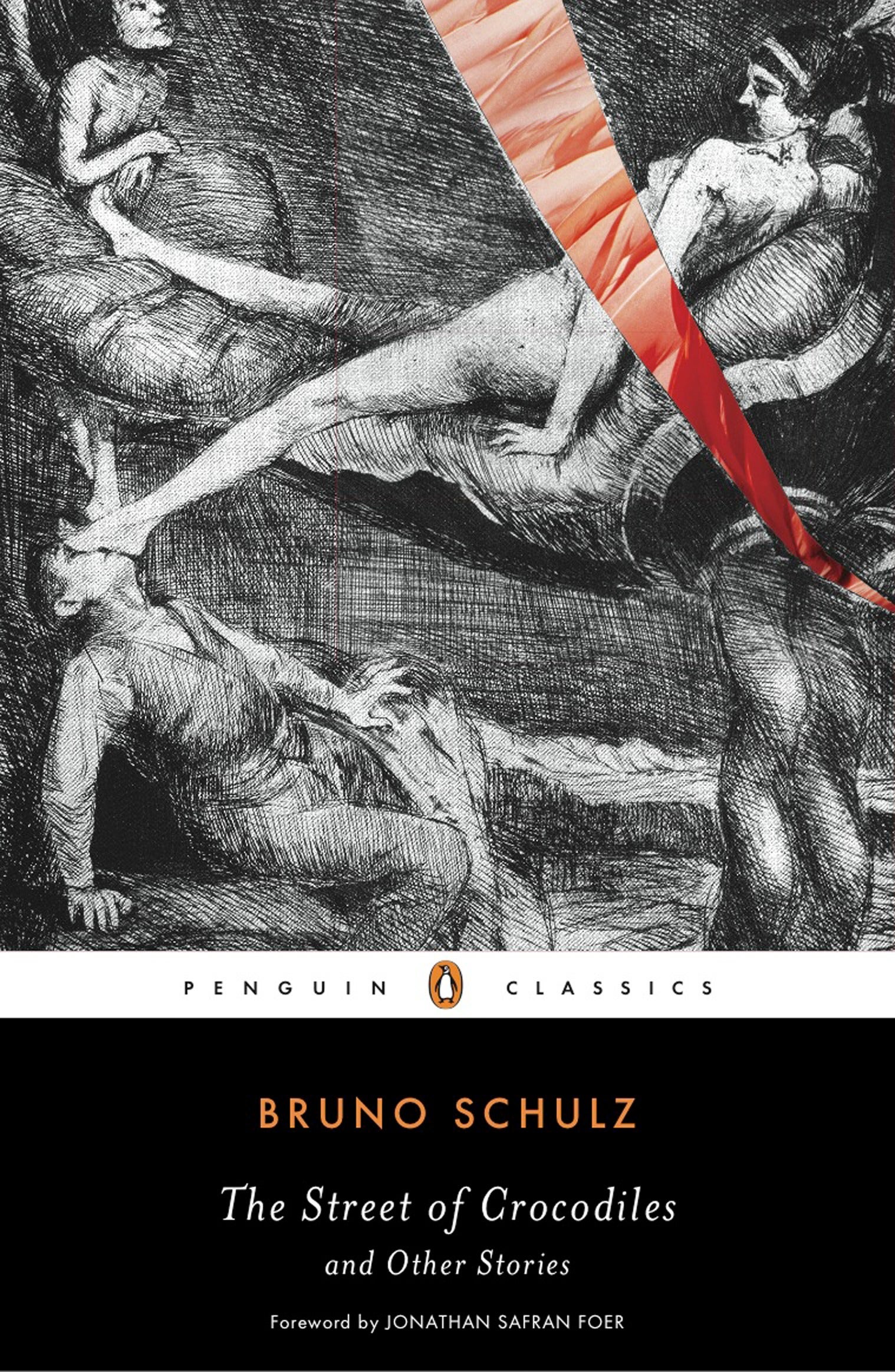 The Street of Crocodiles and Other Stories by Bruno Schulz by Schulz, Bruno, photo 1 of 2