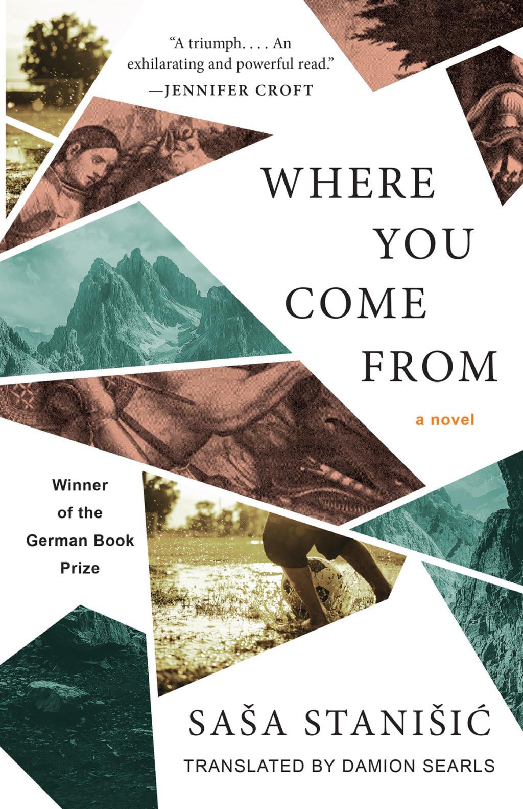 Where You Come From by Saša Stanišić