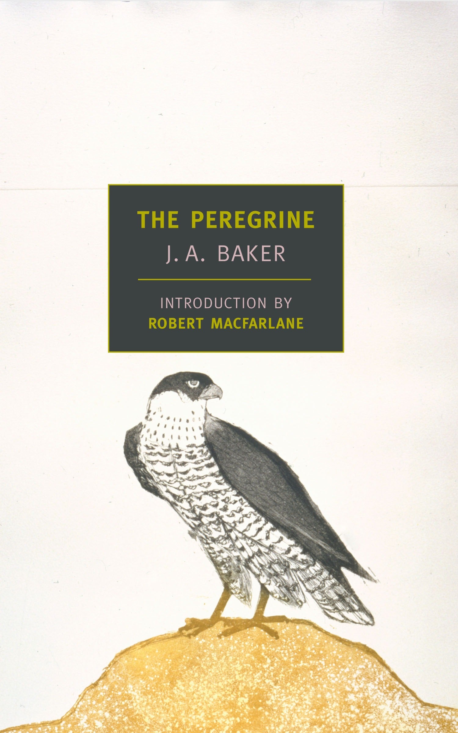 The Peregrine (New York Review Books Classics) by J. A. Baker, photo 1 of 2