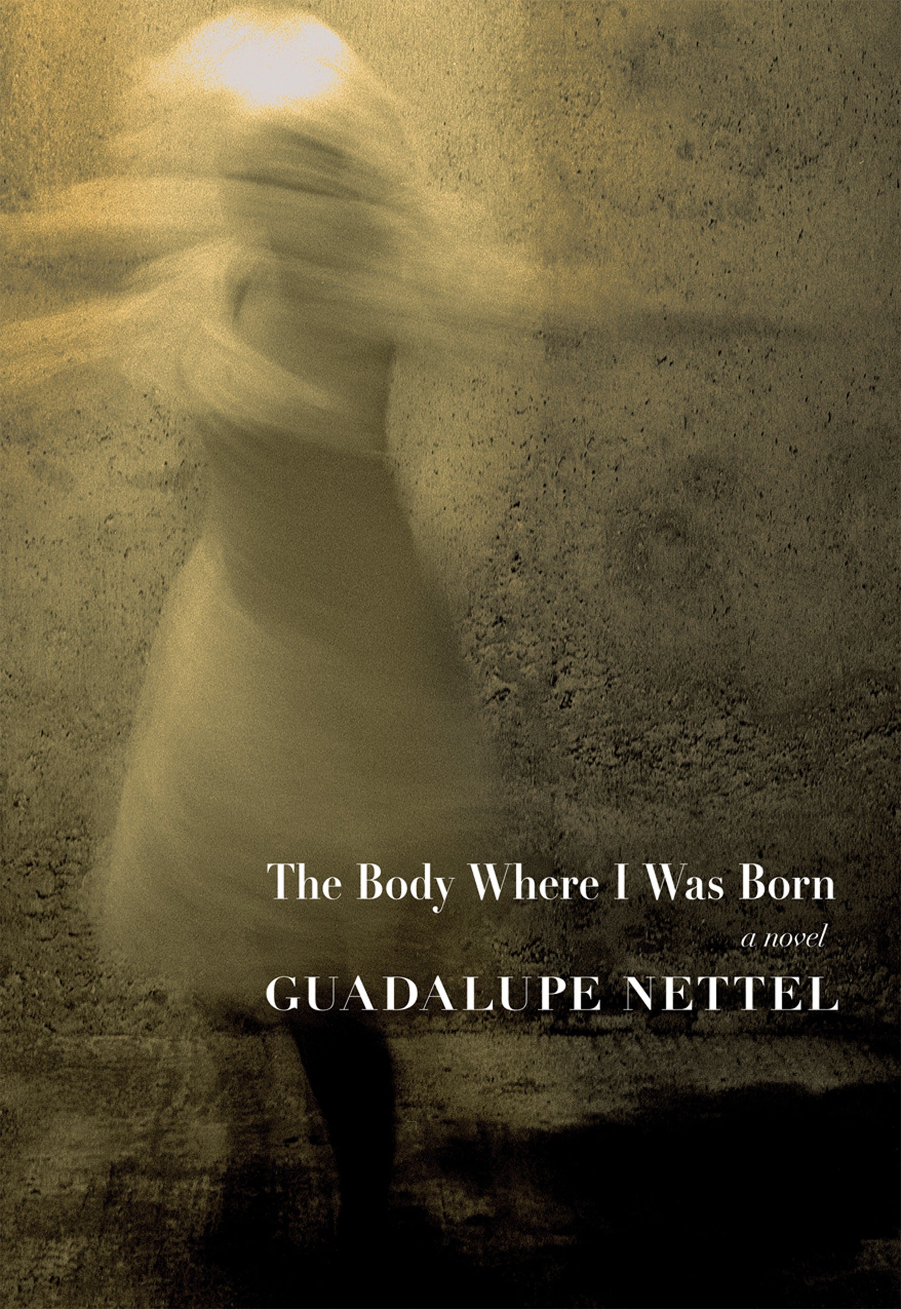 The Body Where I Was Born - by Guadalupe (Paperback), photo 1 of 2