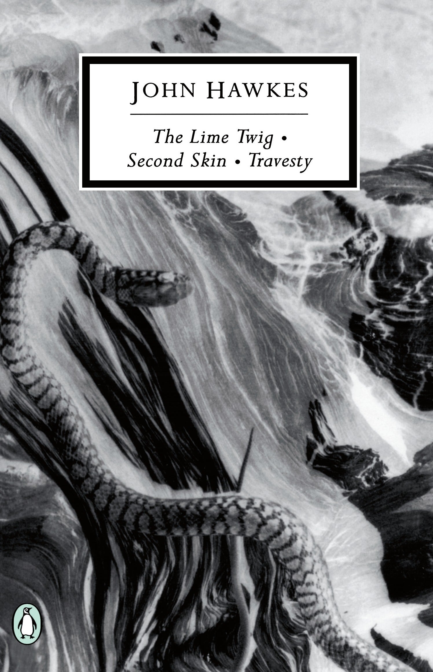 The Lime Twig by John Hawkes, photo 1 of 2