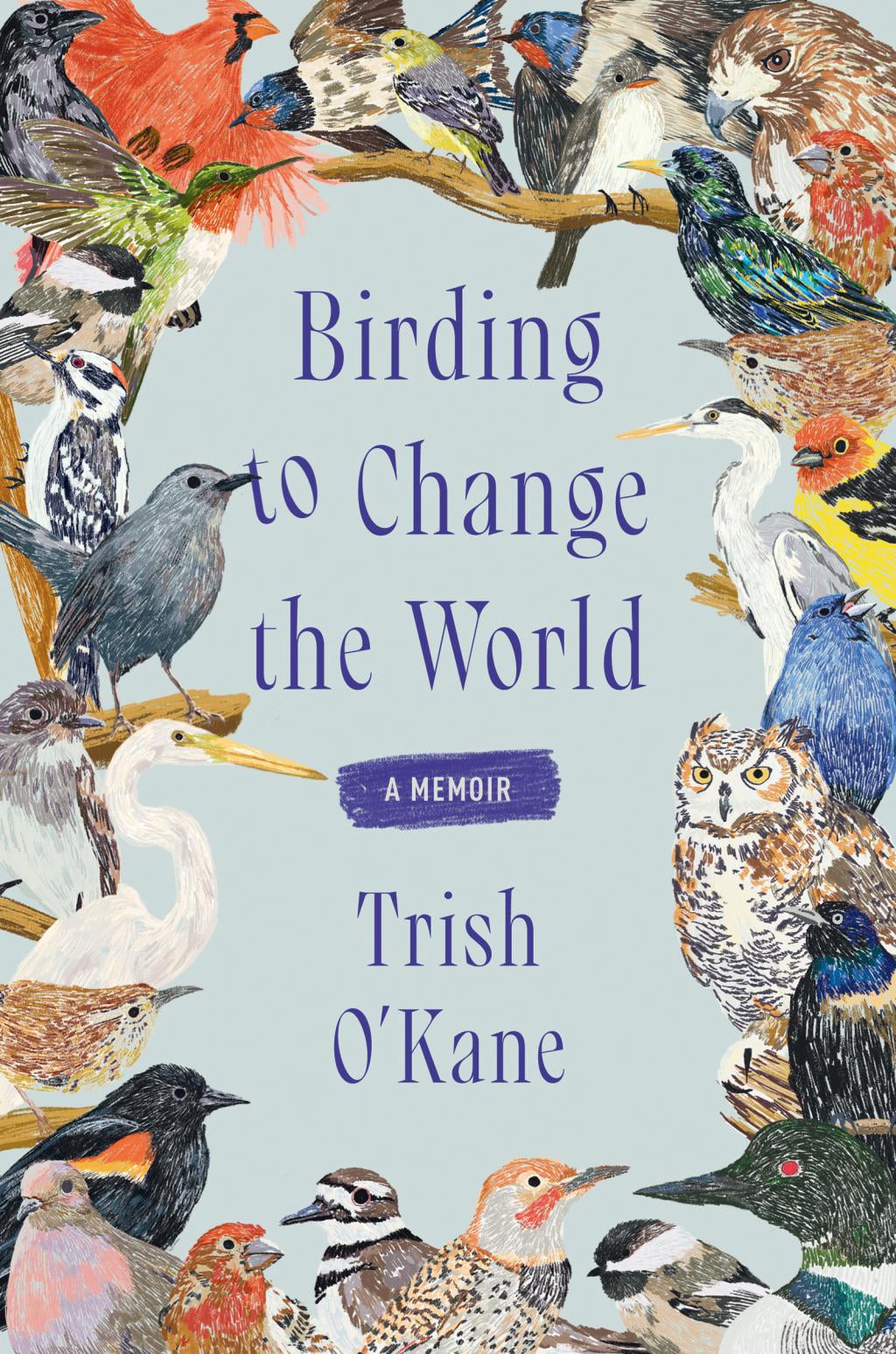 Birding to Change the World - by Trish O'Kane (Paperback), photo 2 of 2