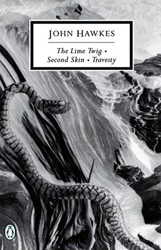 The Lime Twig by John Hawkes, photo 2 of 2