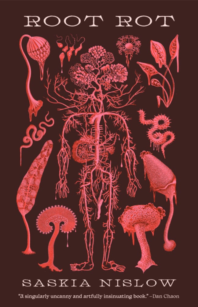 Root Rot by Nislow, Saskia